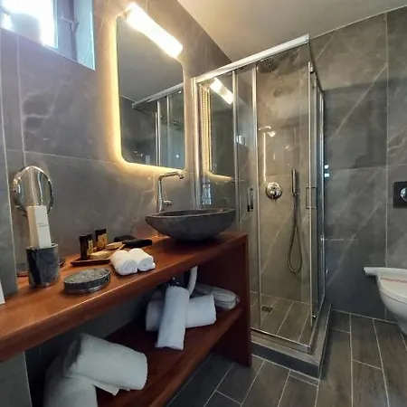 Aparthotel En Plo Boutique 4*